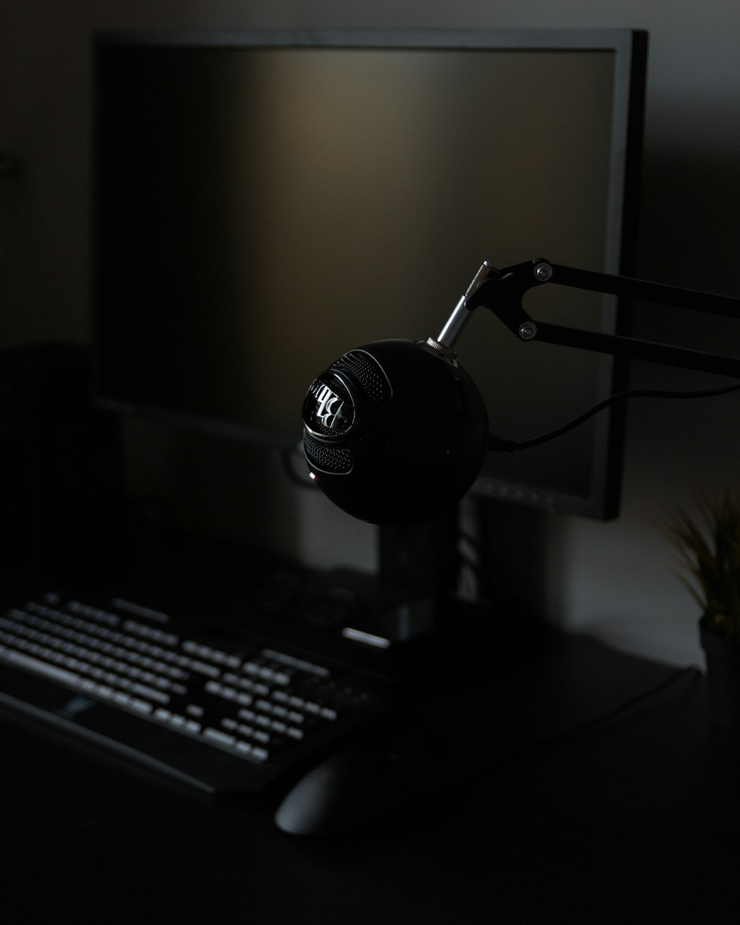 Studio microphone
